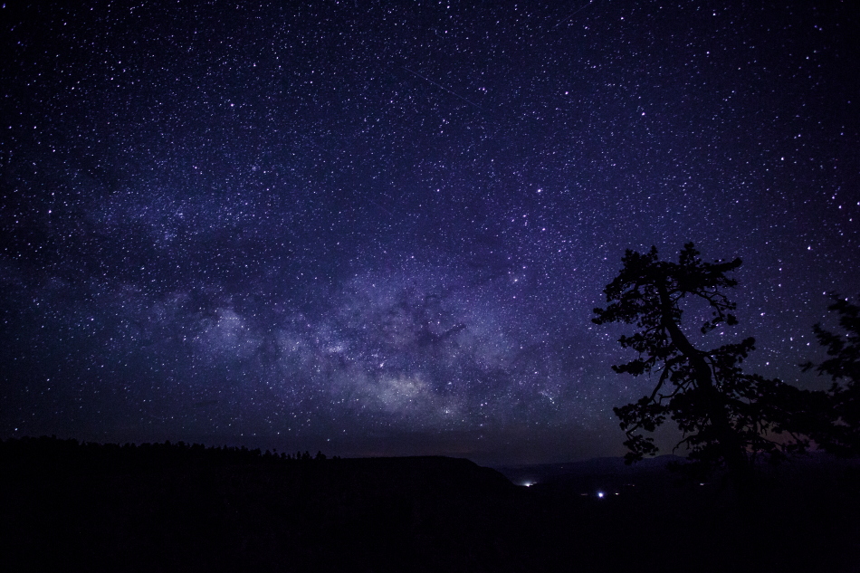 milkyway treePSi