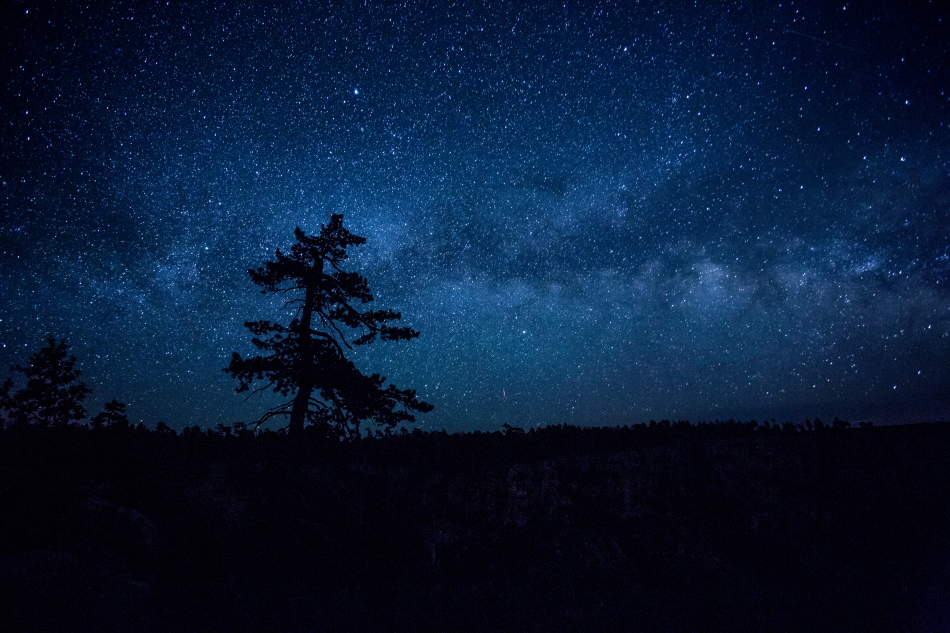 milkyway treertPSi