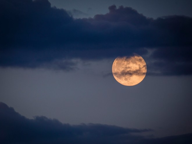 moonhortPSi