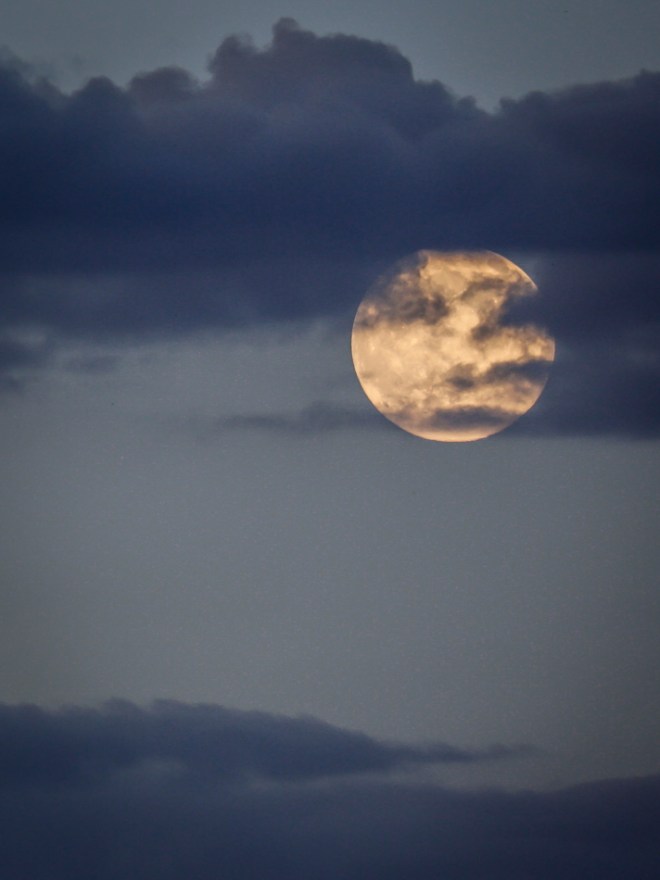 moonPSi