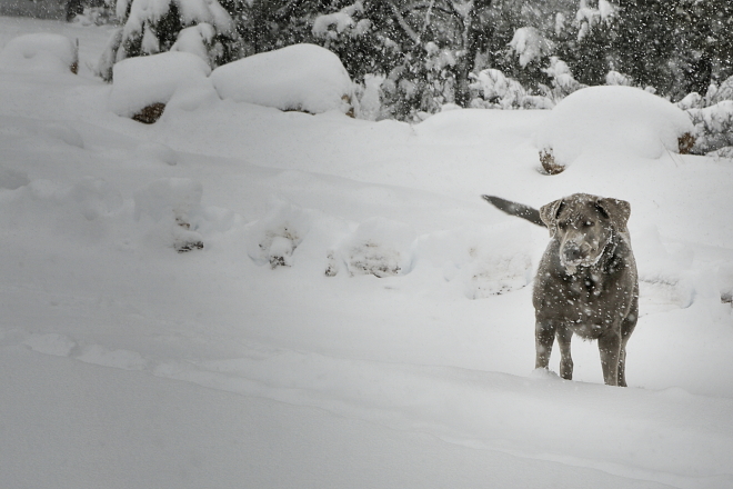 journey snofac_Ssi.JPG