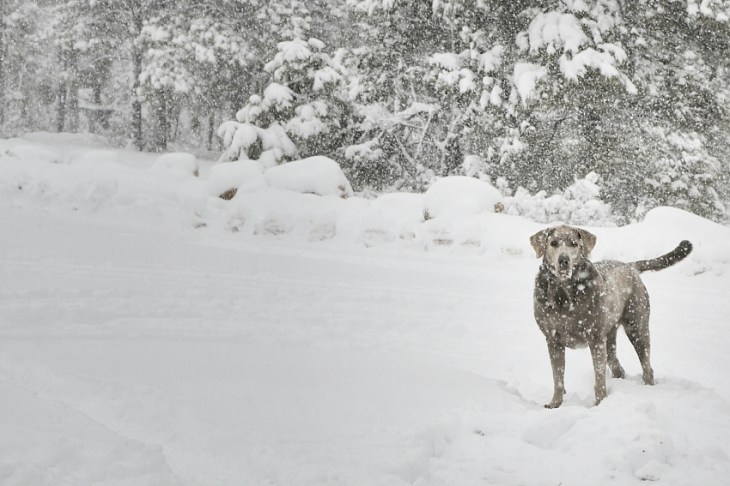 journey waits_Ssi.JPG