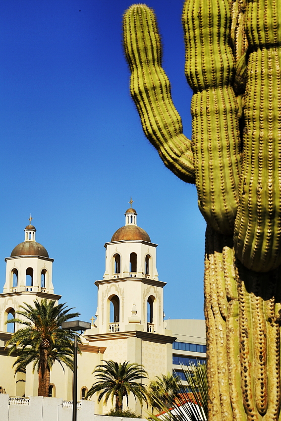 tucsondomes_Ssi.JPG