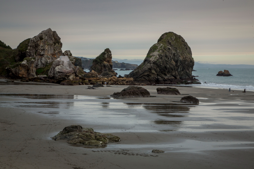 harris beach ltPSi.JPG