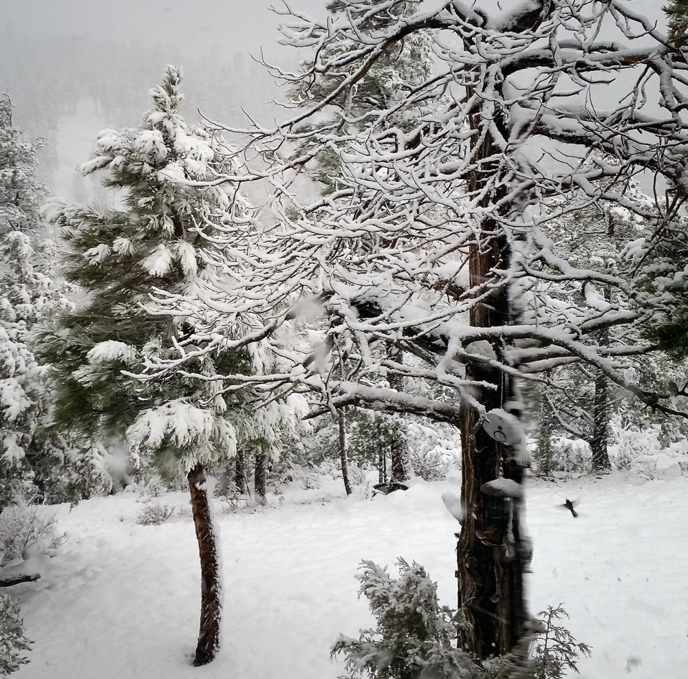 jayflt snow_IR.jpg