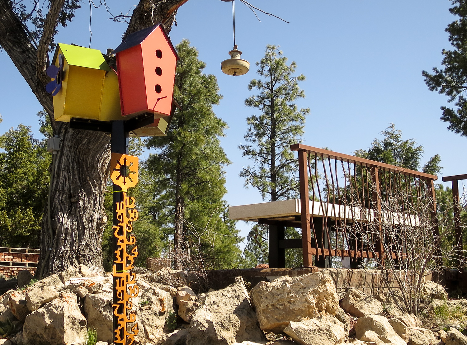 bird snowgage_IR.jpg