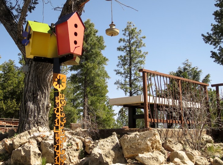 bird snowgage_IR.jpg