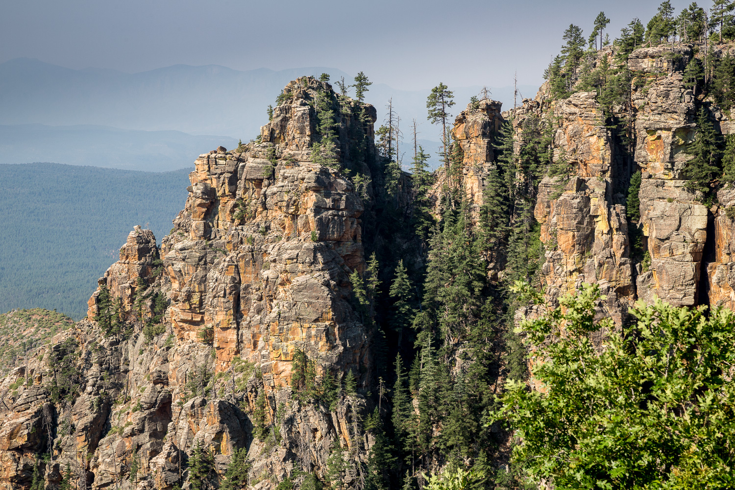 treesaddle haze_IR.jpg