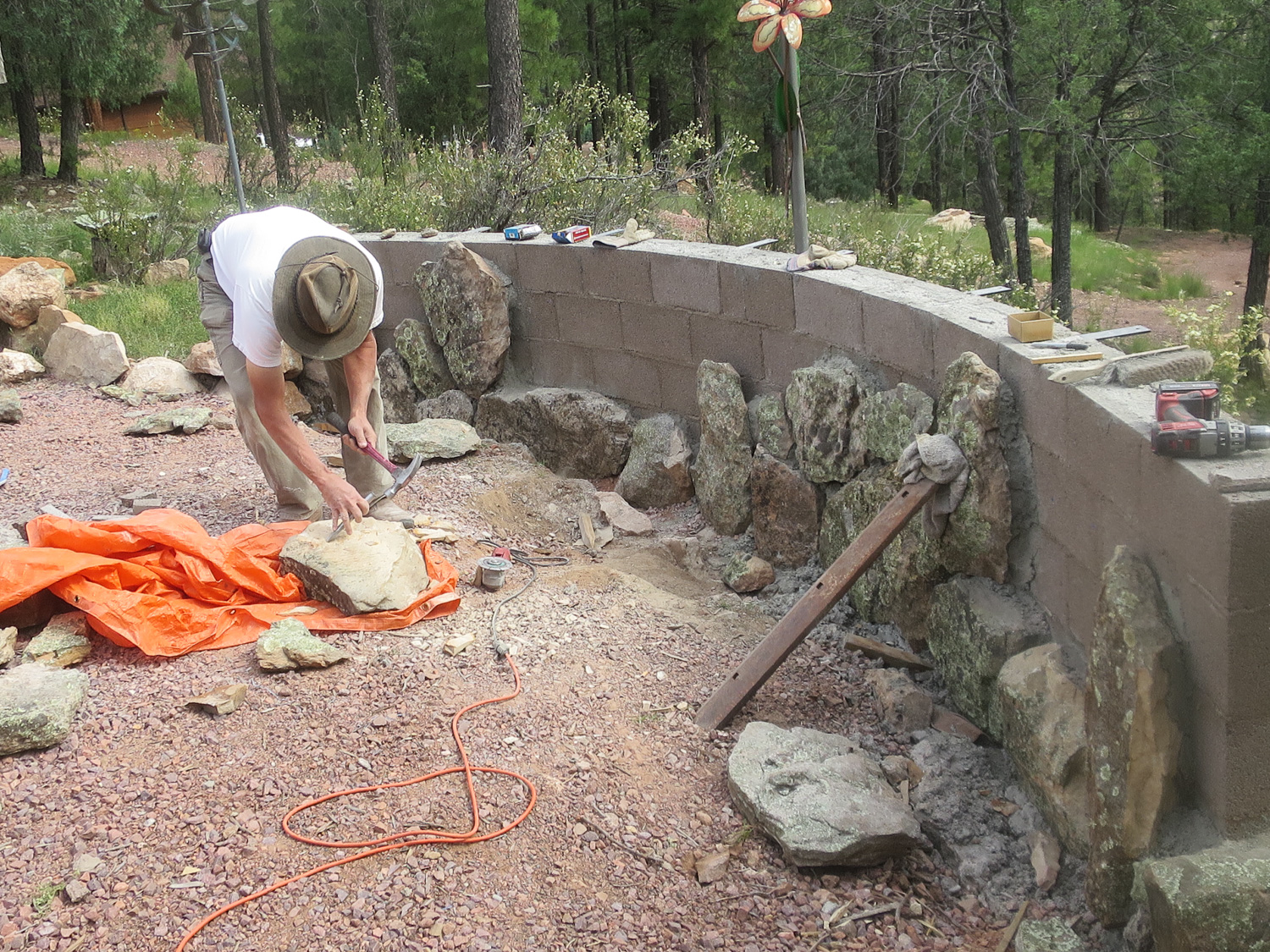IMG_7606_IR.jpg