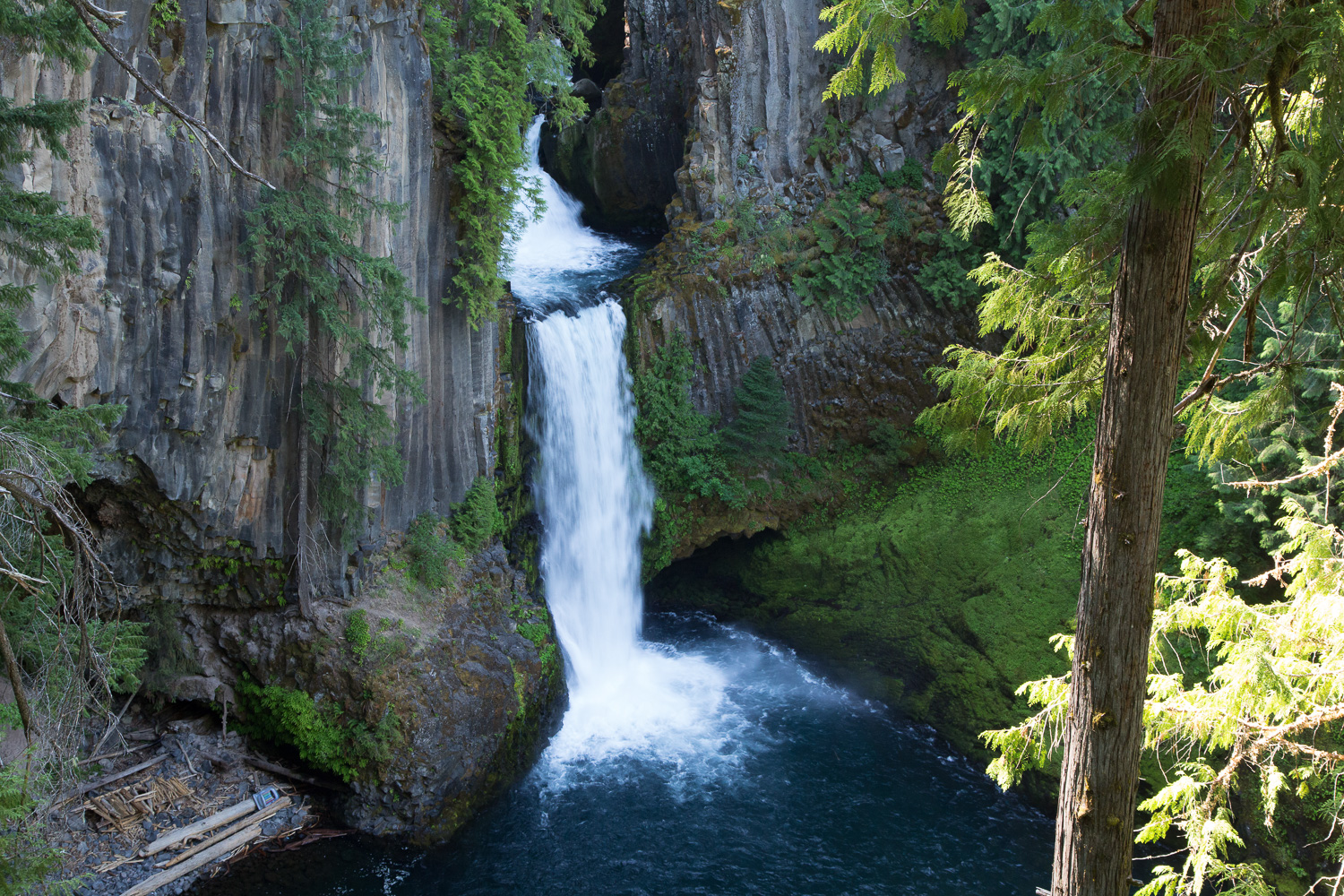 totetee singltree hort2_LR_IR.jpg