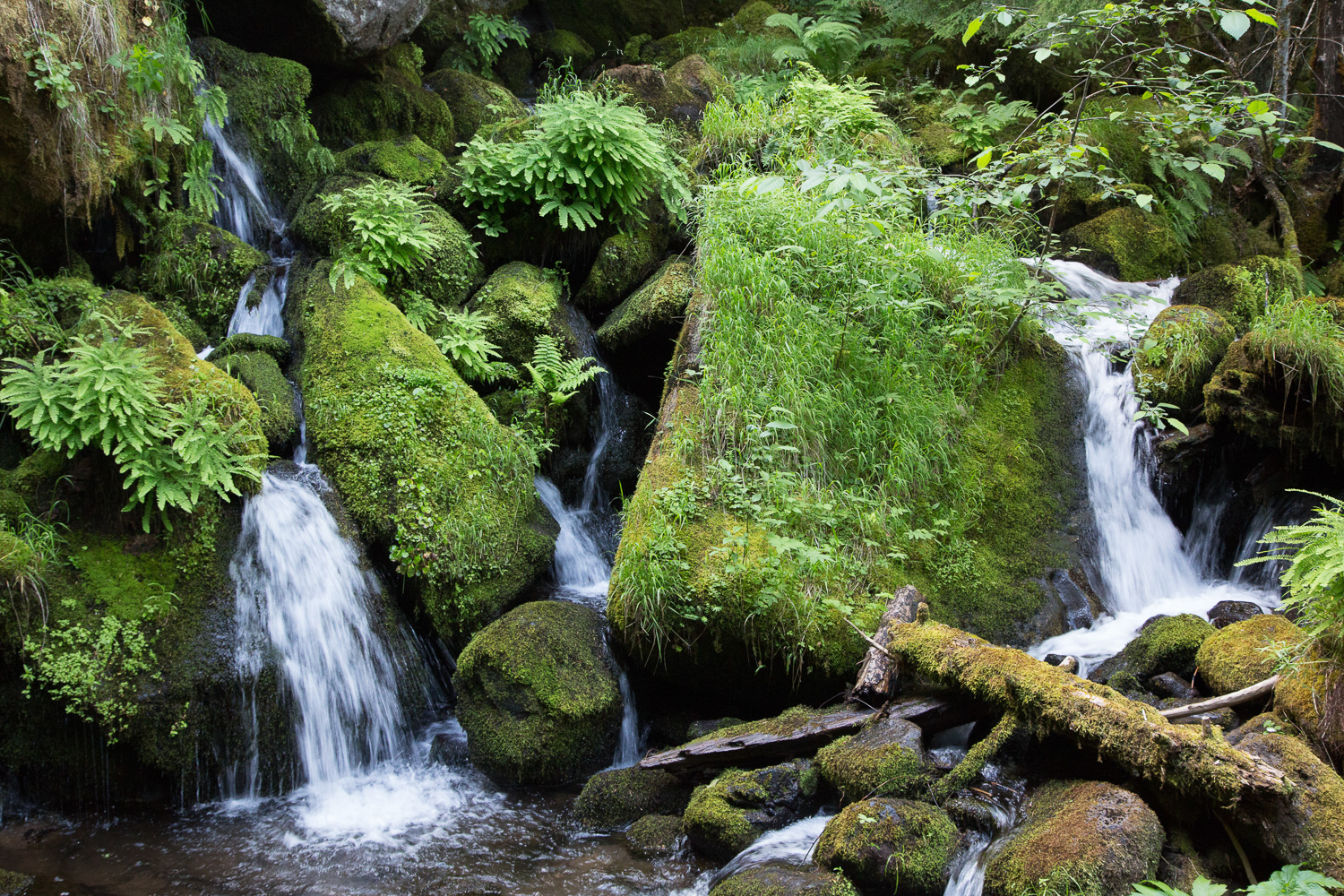 waterfall cascade hort_LR_IR.jpg