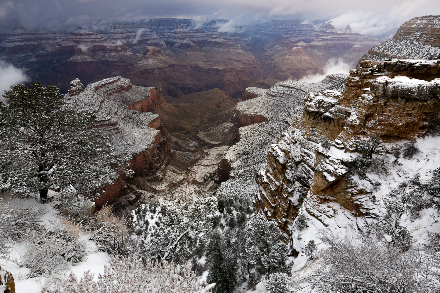 GC crevace sno_IR.jpg