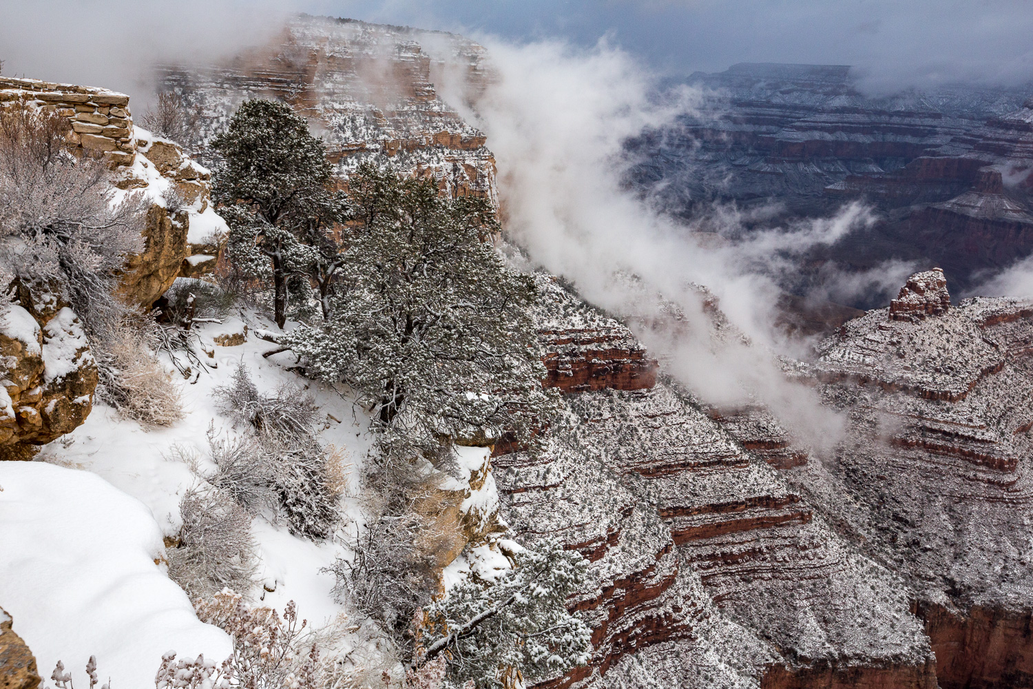 GC lonetree clos_IR.jpg