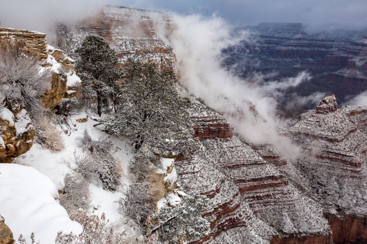 GC lonetree clos_IR.jpg