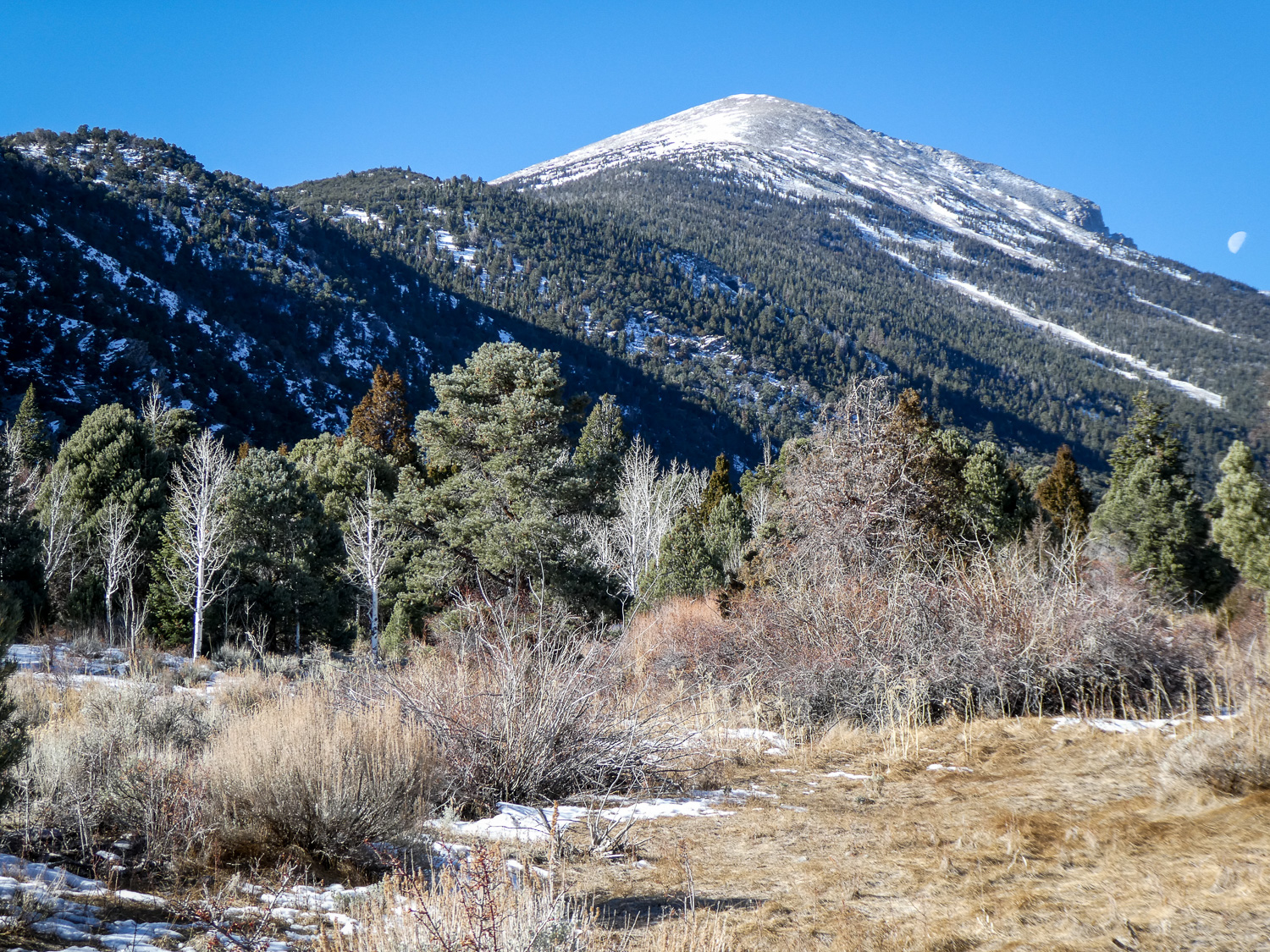 snowcap_IR.jpg