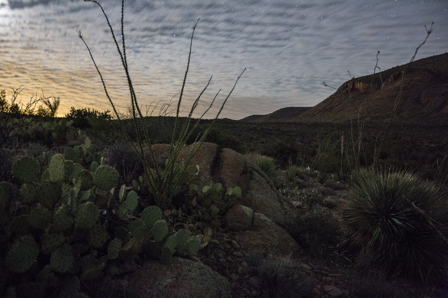 starclouds ocotillo_IR.jpg