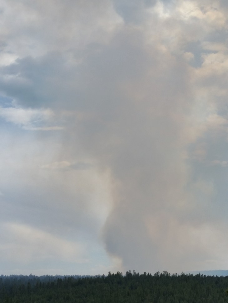 friday 042718_IR.jpg