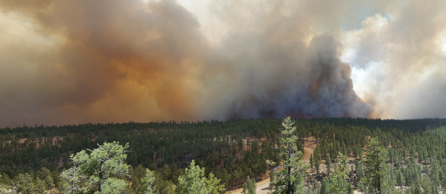 smokepano_IR.jpg