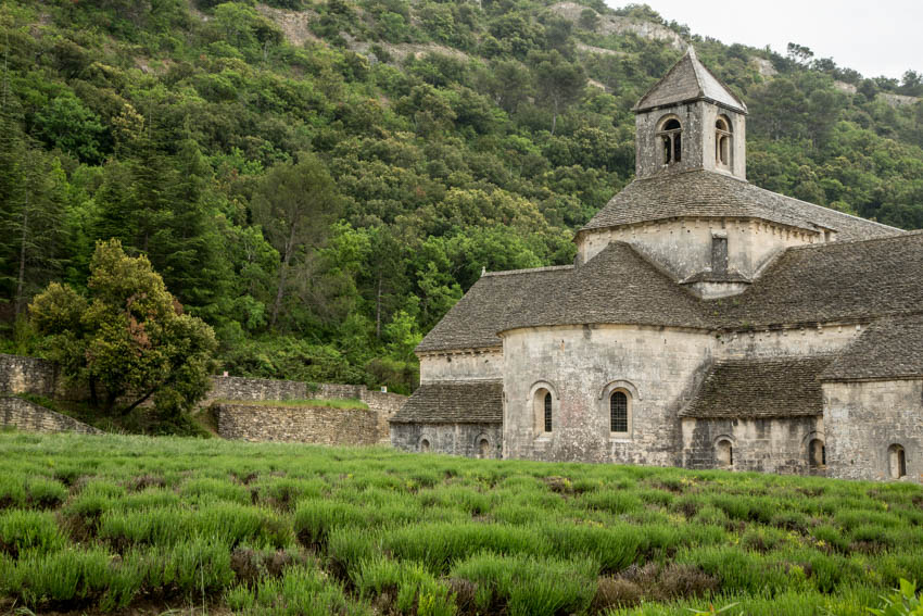 abbey grds_IR.jpg