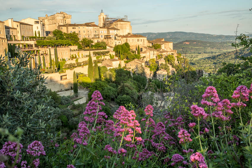 gordes flowers_IR.jpg