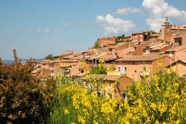 roussillon flowrs_IR.jpg