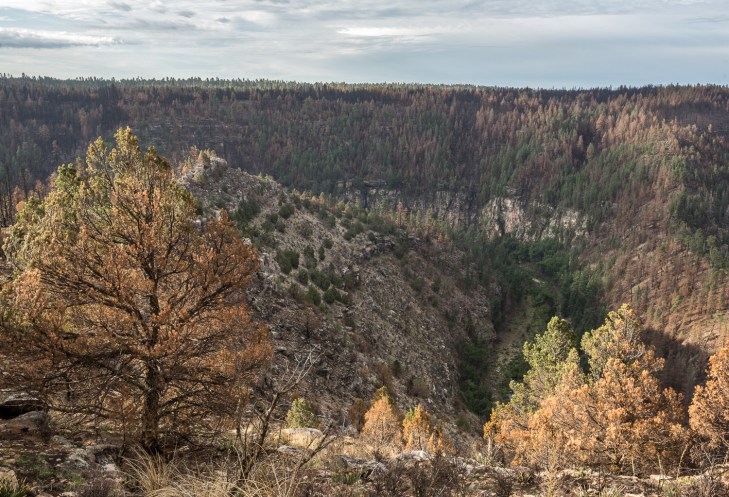 clrcrk corner_IR.jpg