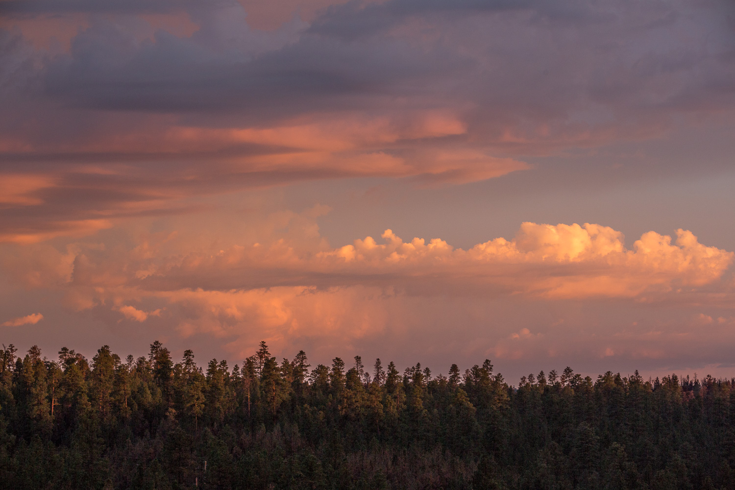 sky siloette_IR.jpg