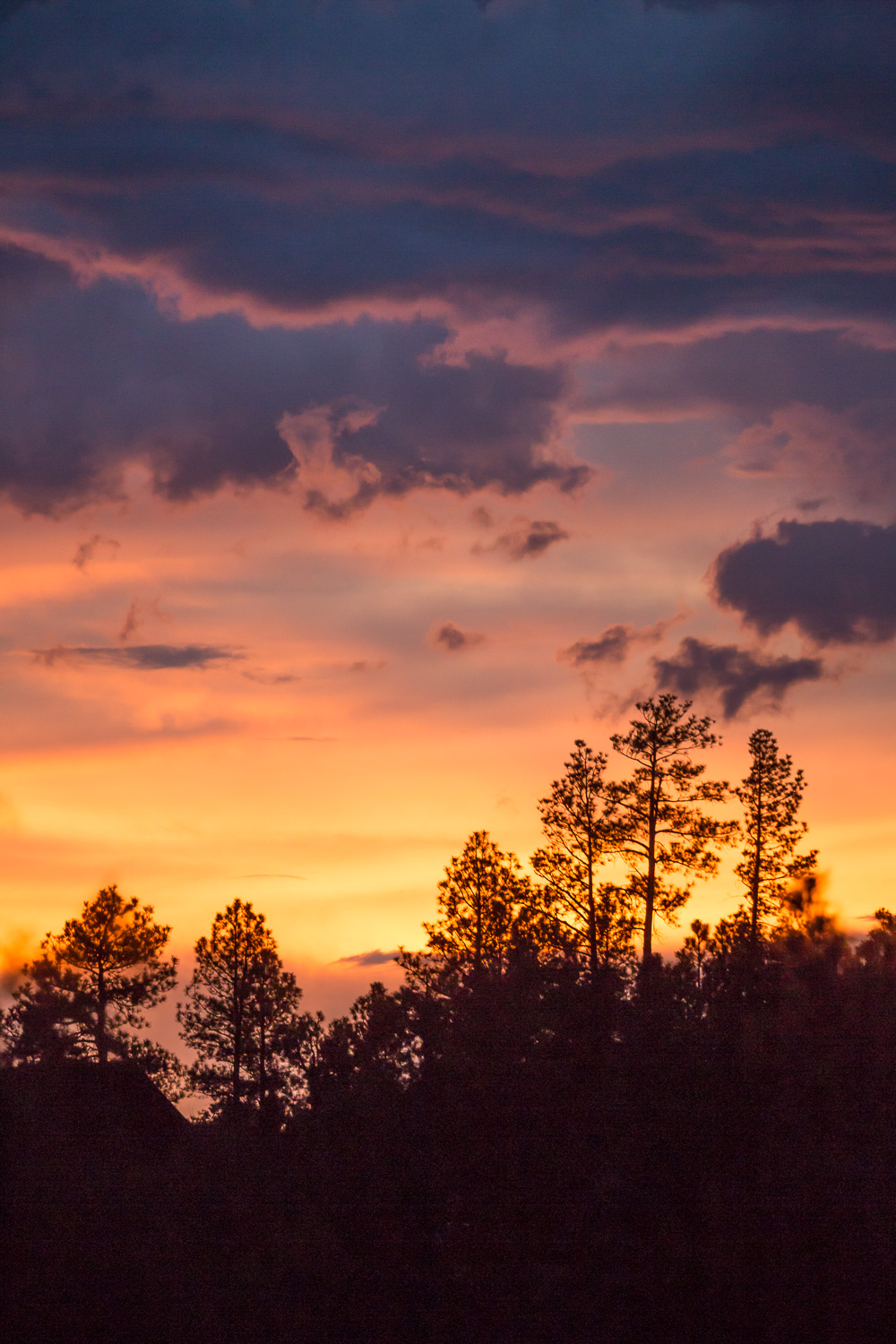 skyfire vert21_IR.jpg