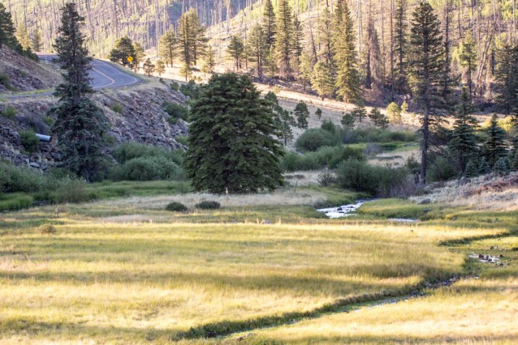 streamrunrd hort_IR.jpg