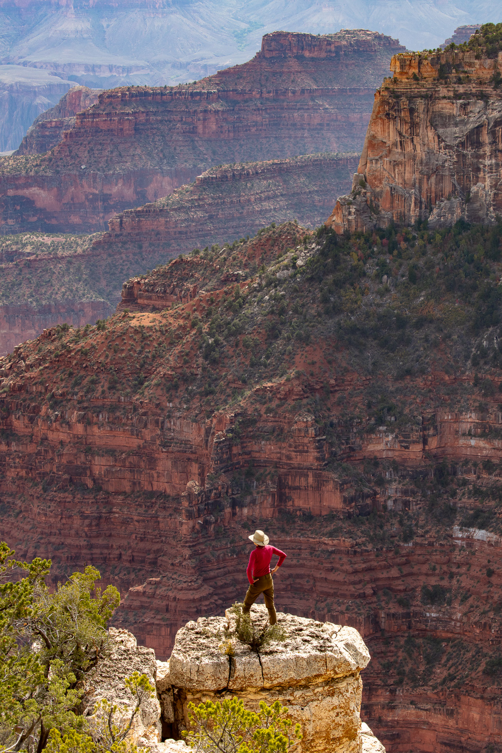 D_Smathia_Grand_Canyon_NR_0918 copy_IR.jpg