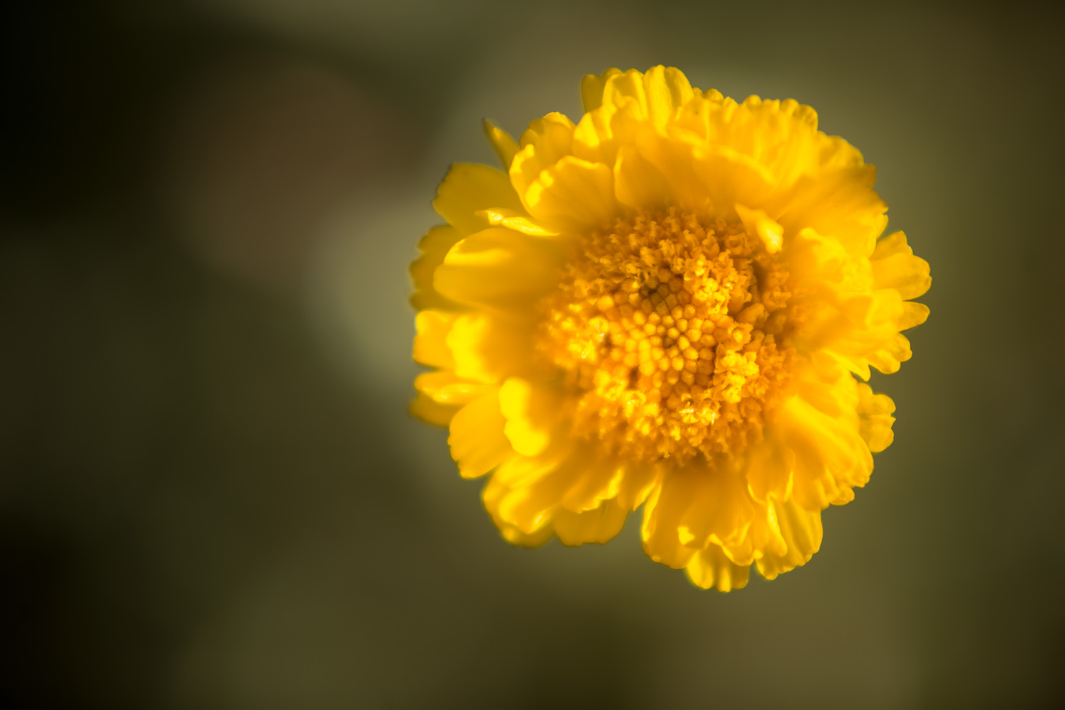_40A8960_IR.jpg