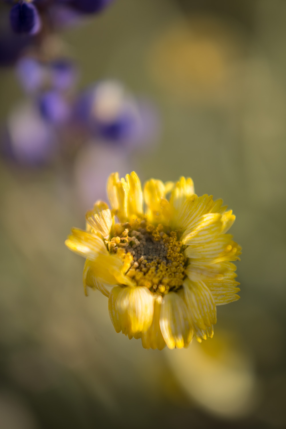 _40A8969_IR.jpg
