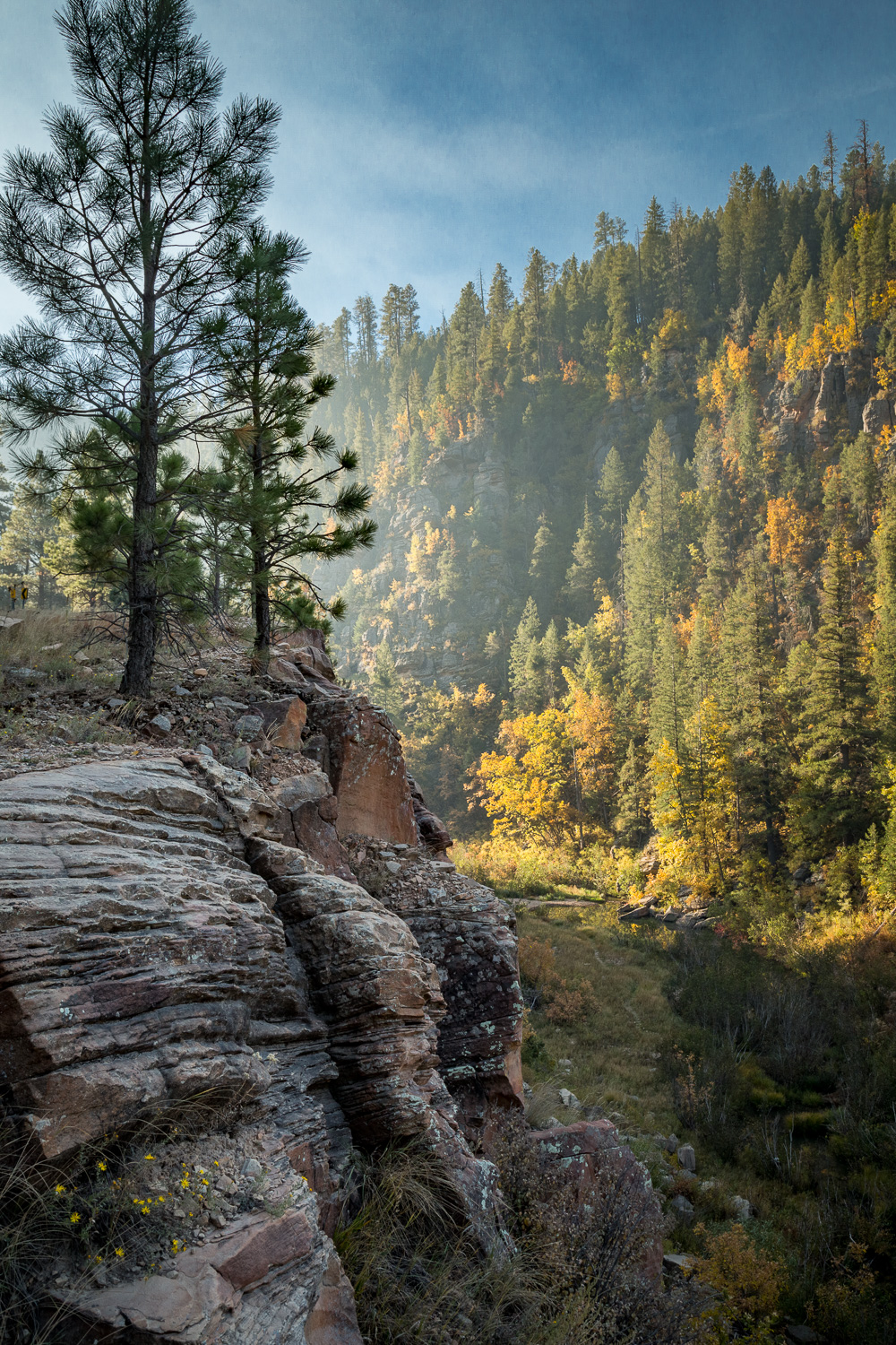 Fall Ravine Vert_IR.jpg