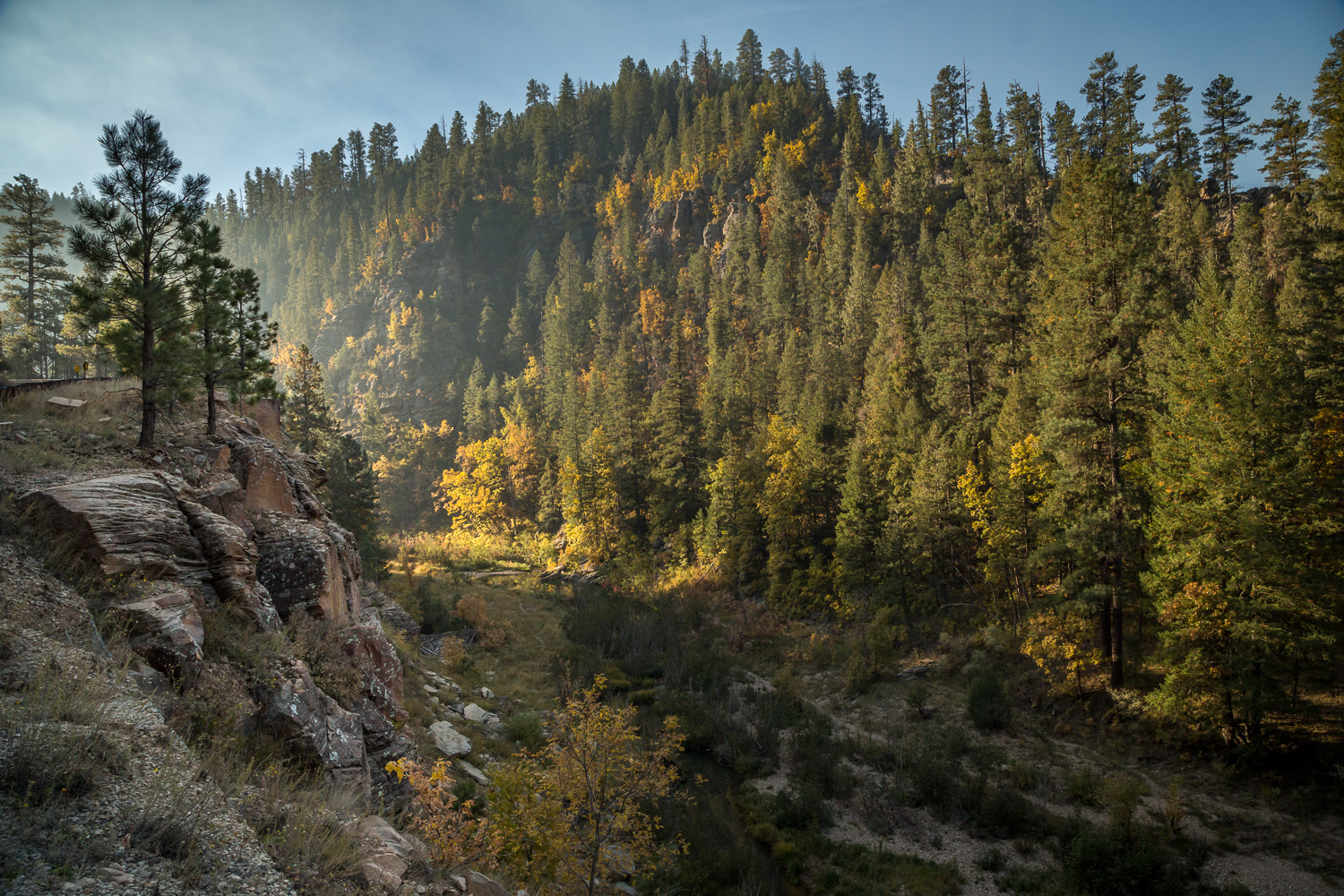 Fall Ravine_IR.jpg