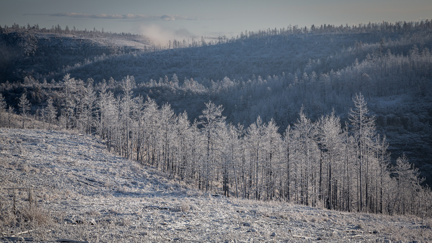 snow ridge_IR.jpg