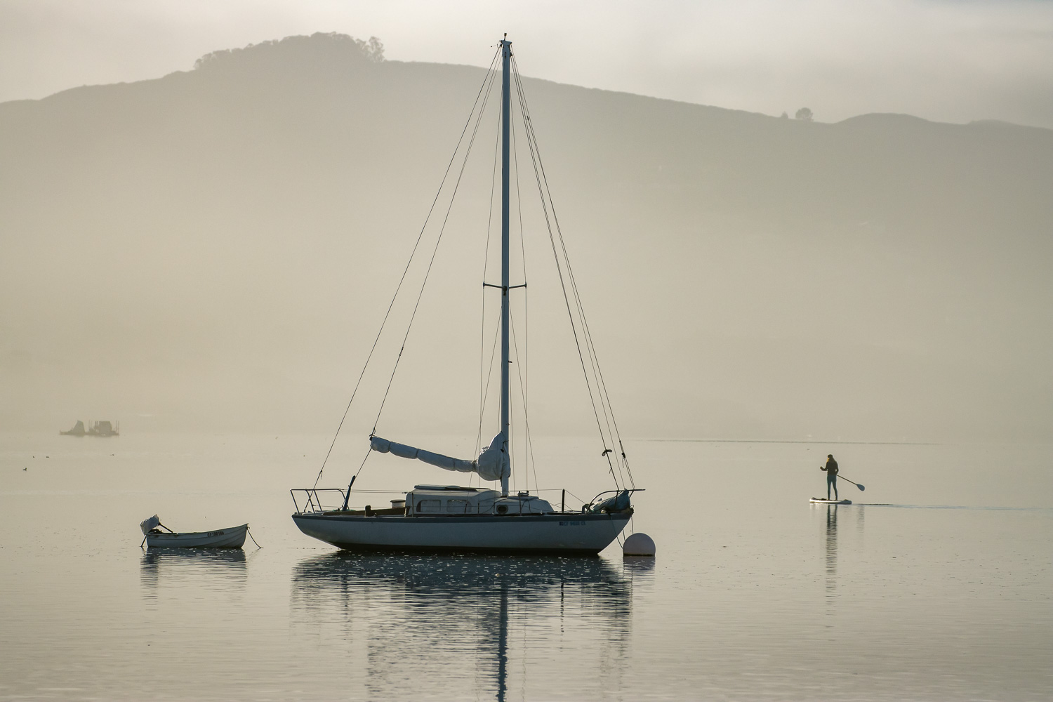 BoatPaddle_IR.jpg