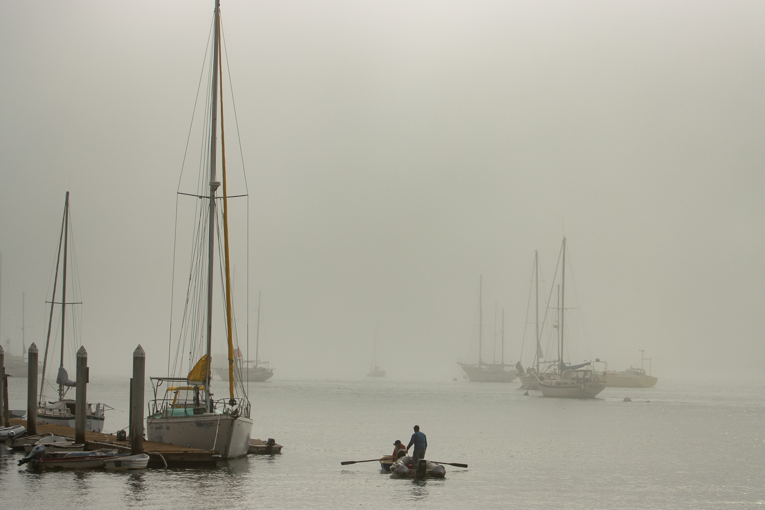 Morro Fog_IR.jpg