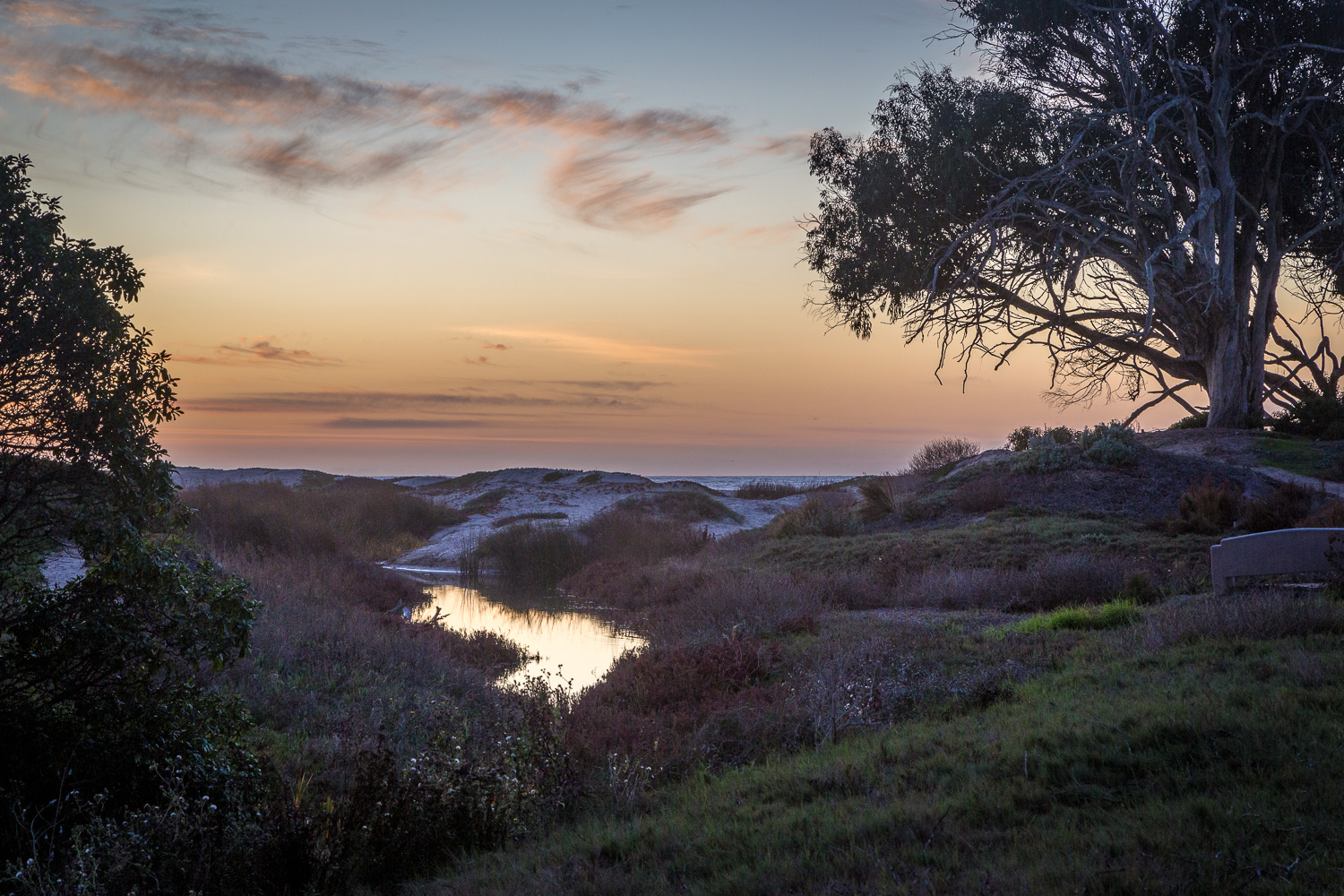 Pismo StatePark_IR.jpg