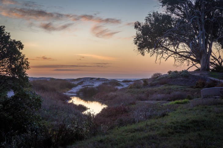 Pismo StatePark_IR.jpg