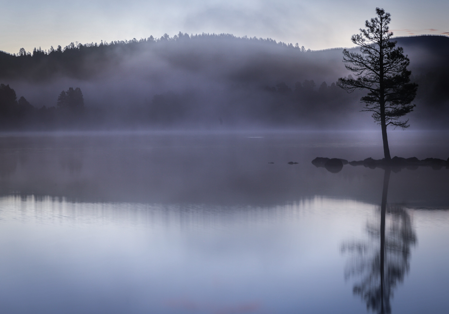 _40A4245_IR-2.jpg